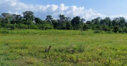 Terrain en vente à Bingerville Akwè Djemin Extension