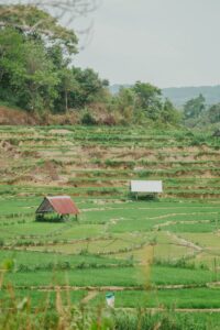 LES CRITERES A PRENDRE EN COMPTE LORS DE LA VENTE D&rsquo;UN TERRAIN EN COTE D&rsquo;IVOIRE
